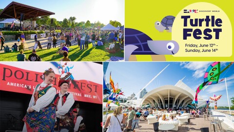 (Clockwise from top left) HartFest, Turtle Fest, Lakefront Festival of Art and Polish Fest.
