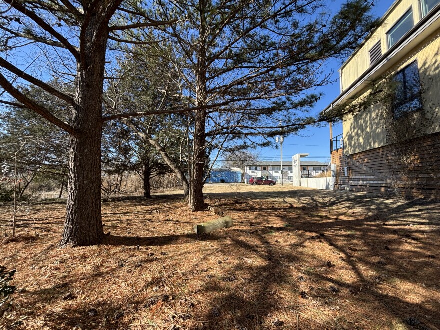 Part of the future park site next to the Elizabeth River Project, with Colley Avenue in the background, in February 2026.