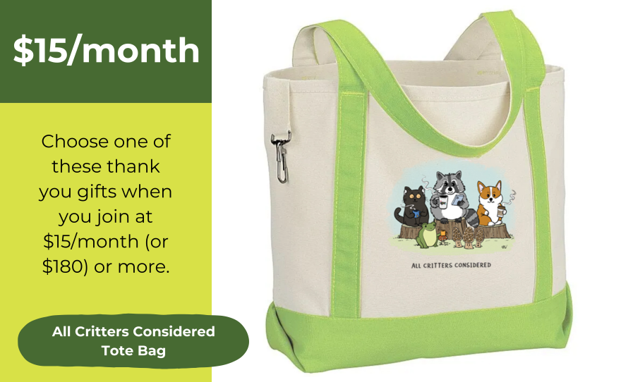 At $15/month, get the All Critters Considered Tote Bag, a canvas tote with light green accents featuring artwork of animals enjoying IPR.