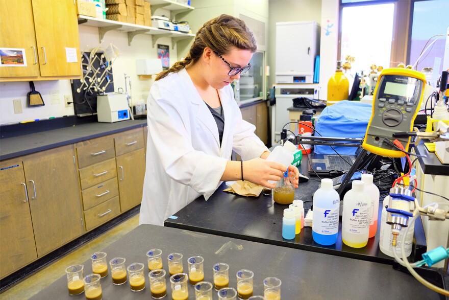 MSU student Meagan Key tests soil acidity in Richard Engel's lab in Bozeman November 5, 2019.