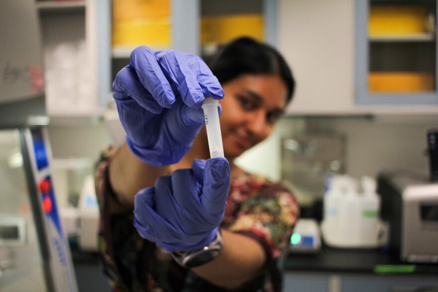 Lab technician Zara Syed holds up a tube with tick inside before conducting DNA extraction and pathogen testing for Buckeye Tick Test at Ohio State University's Goss Laboratory, Thursday, May 21, 2026.