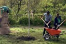 Cincinnati Mayor Aftab Pureval (center) plants a tree at Roberts Academy in Price Hill in April 2025. This was the city's first official use of biochar while planting new trees.