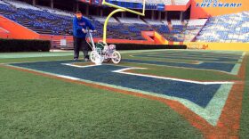 Jason Smith, turf coordinator rolls the first coat of white paint on the Florida logo Wednesday morning.