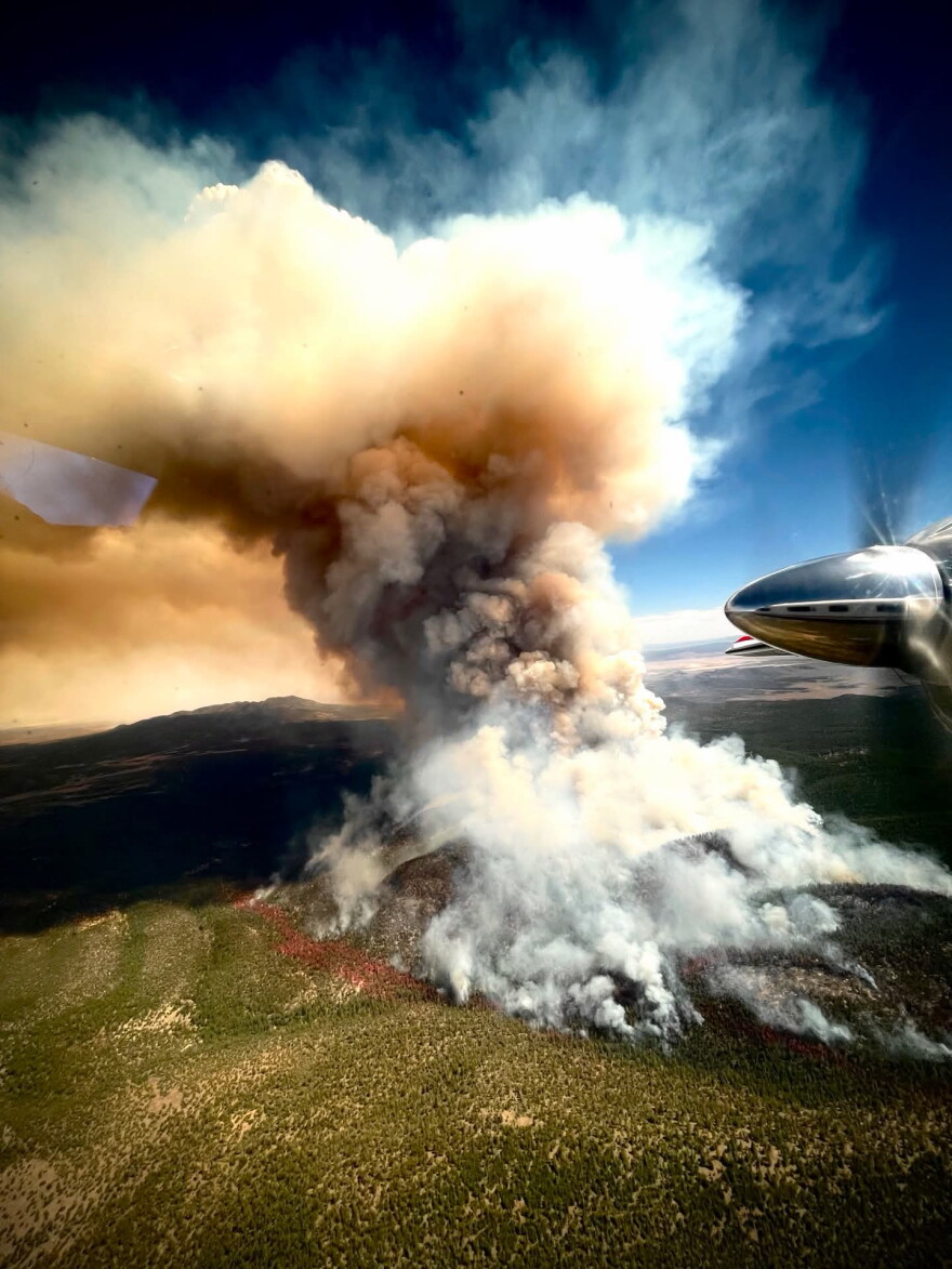 The Bear Fire in the Gila National Forest has grown to over 6,000 acres as of Saturday.