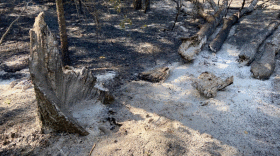 East County Fire Kaufman County - July 20 2022