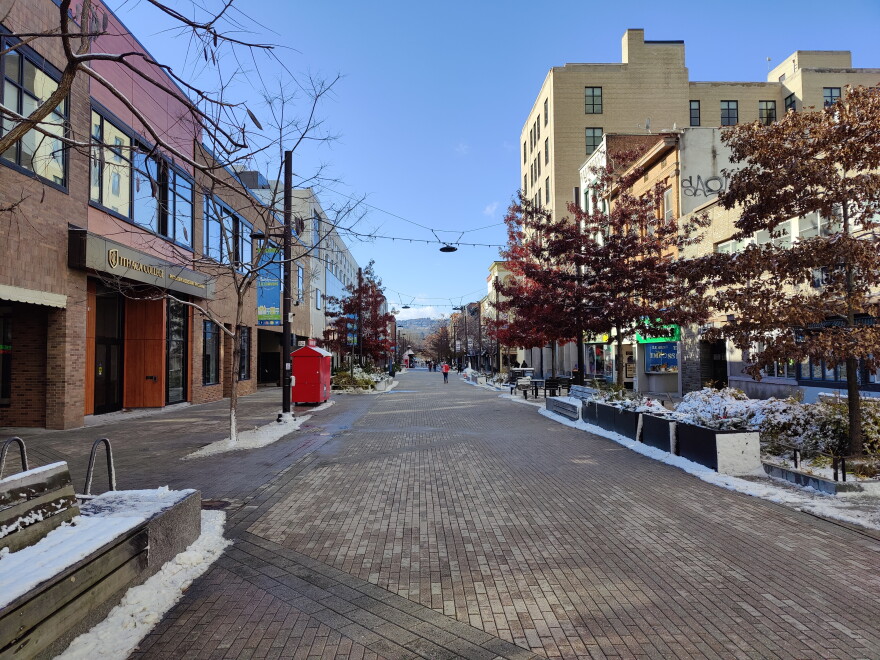 Mayor Svante Myrick compared the Ithaca Guaranteed Income program to federal stimulus checks sent out earlier in the pandemic. (Megan Zerez/WSKG)