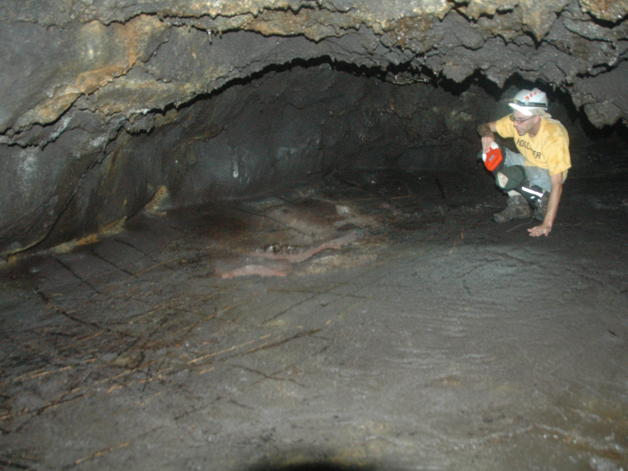 Overview photograph of the pictogram feature.