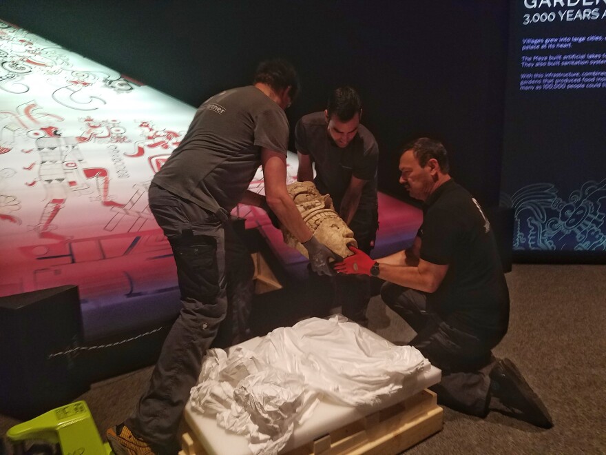 The team with the traveling exhibit, 'Maya: The Exhibition' carefully unpacks the exhibit in March 2020.