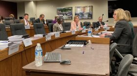 Missouri Department of Health and Senior Services Director Sarah Willson addresses the House Budget Committee on Monday (Steph Quinn/Missouri Independent).