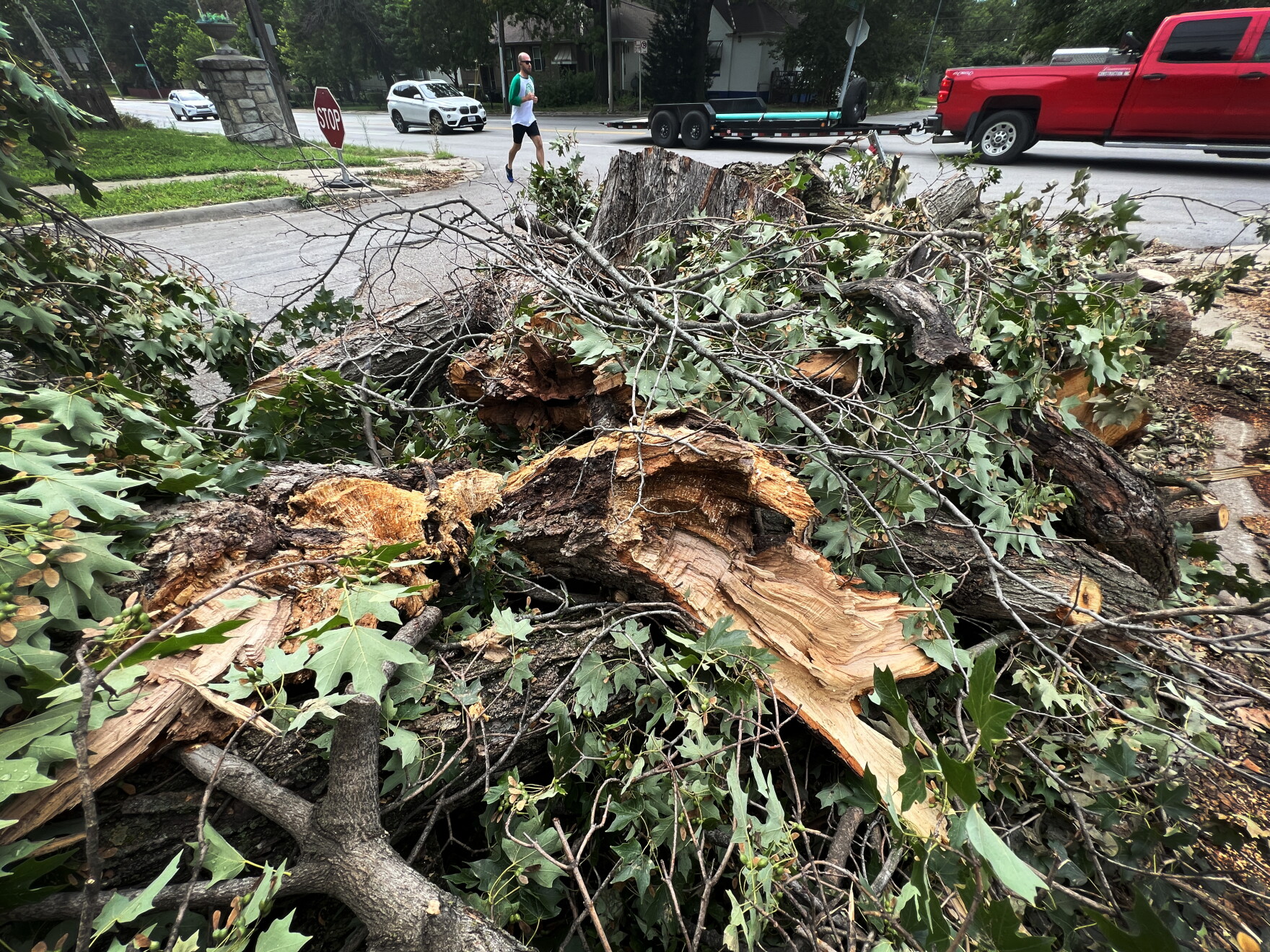 Here's how you can get rid of storm debris around the Kansas City metro ...