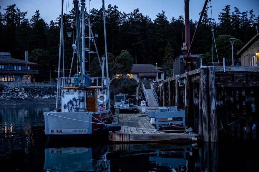 On an island off the coast of Washington state, scientists have resorted to breeding sunflower sea stars in a lab. It's a desperate attempt to save the endangered animals from disappearing completely.