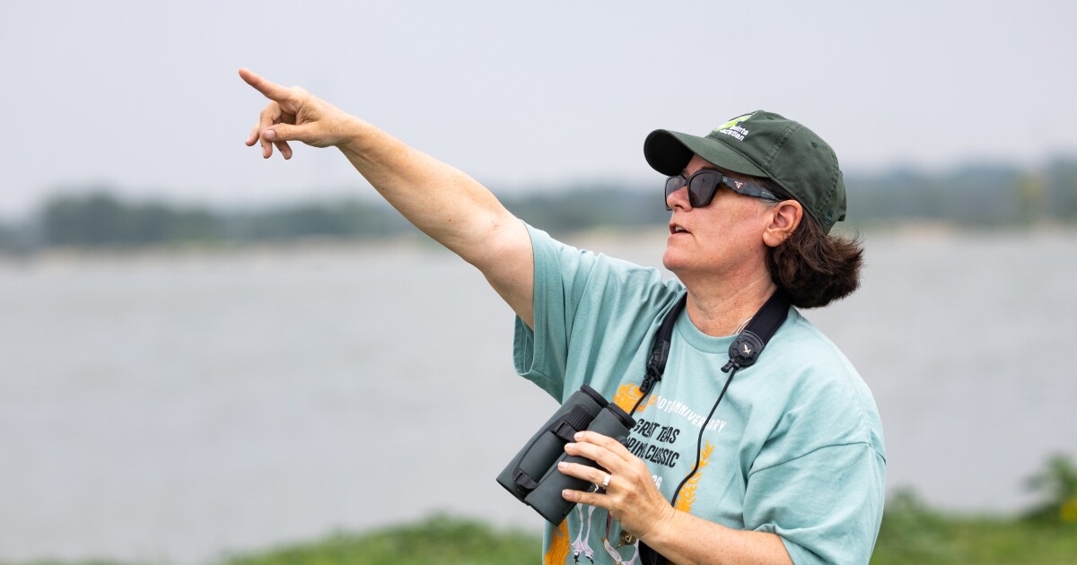 Gotta catch 'em all: Austin birders compete to identify the most birds during peak migration