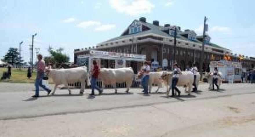 State Fair