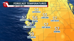 Graphic shows estimated temperatures in the 40s across the Tampa Bay area as of Saturday at 11 a.m.