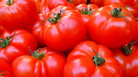 Tomatoes, Fresh Food, Healthy hero