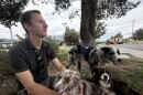 A man sitting under a tree with his three border collies resting or standing by his side.
