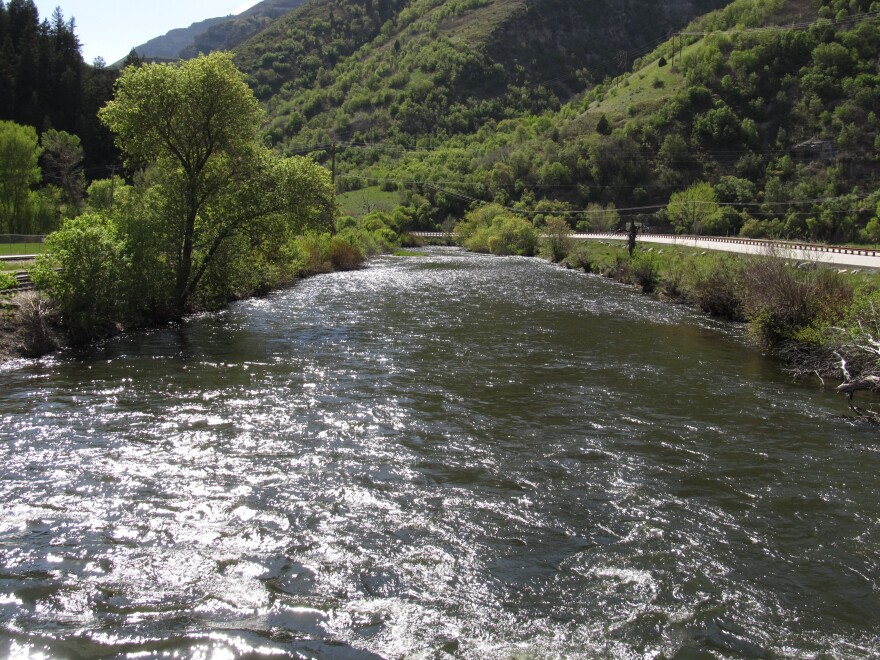 Photo of a river