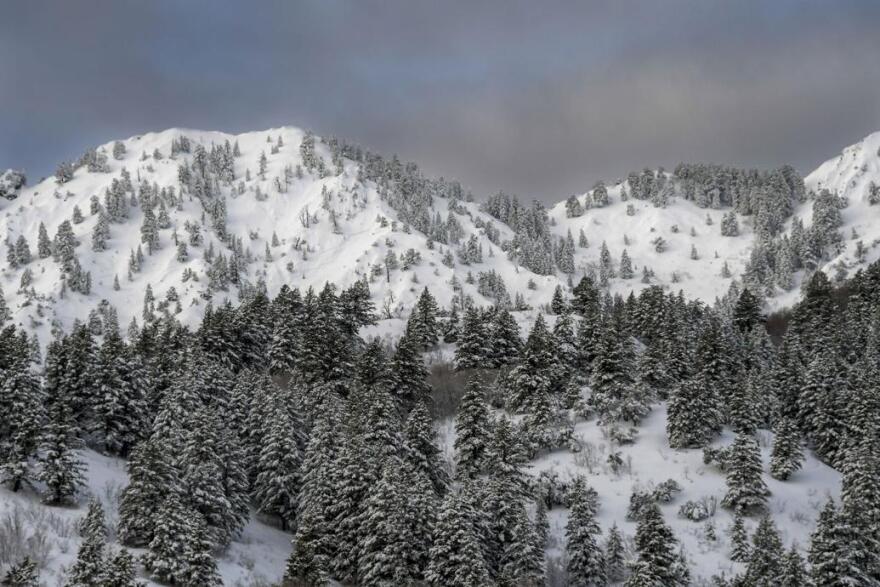 Snow covers the mountains above Sherwood Hills last week.