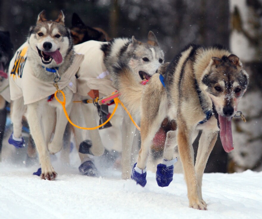 Early snowfall and cold temperatures are causing a hold up on dog sled training in the Upper Peninsula. 