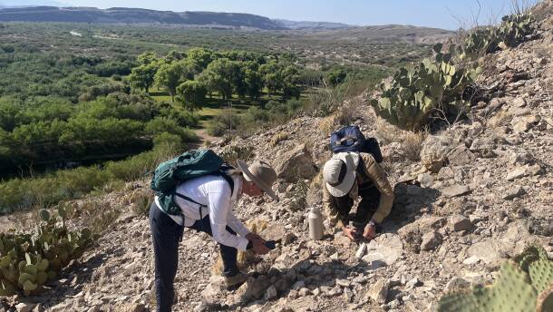 BioBlitz participants Kelly Lyons and Nessa Spence identify plants on a hillside in Big Bend National Park.