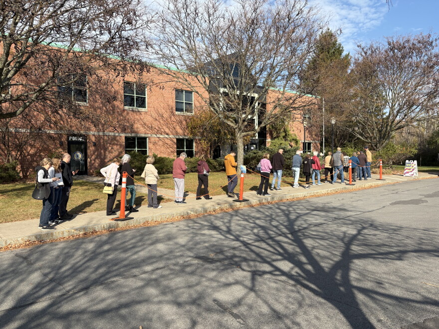 A line of voters stretches along the sidewalk in front of DeWitt Town Hall Wednesday.
