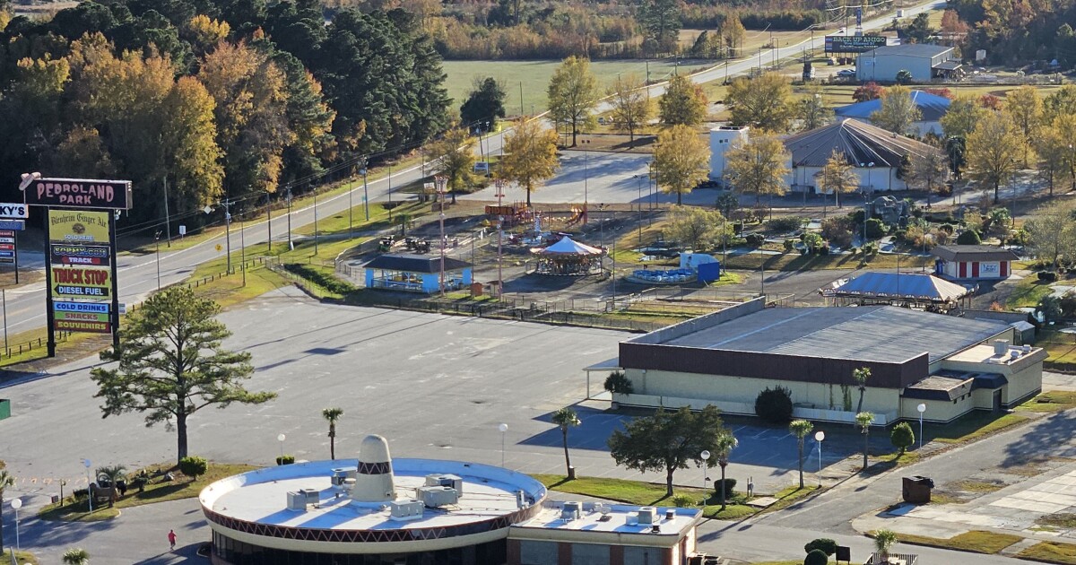 Part of the South of the Border roadside attraction up for sale