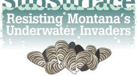 SubSurface: Resisting Montana's Underwater Invaders