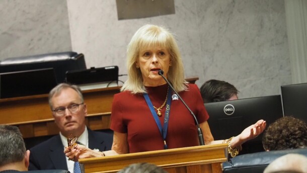 Sen. Liz Brown, R-Fort Wayne, speaks during an Indiana Senate session on Feb. 24, 2026.