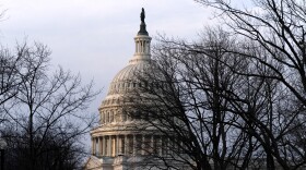 Slight three-quarter side view of the US capitol rotunda with greyish lightening sky and bare trees in the foreground