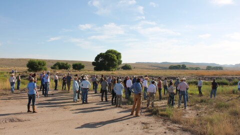 The Trans-Pecos Wildlife Conference will include panel discussions and presentations from scientists and conservationists, as well as a field outing to the Dixon Water Foundation’s Mimms Unit ranch, north of Marfa.