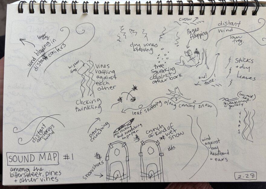 A Música da Natureza: Ouvindo o mundo que nos rodeia