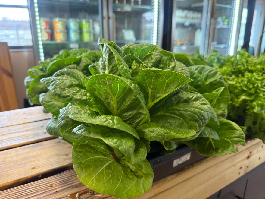 The greens ready for purchase at The Market at Rockledge Gardens from Fletcher Family Farms.