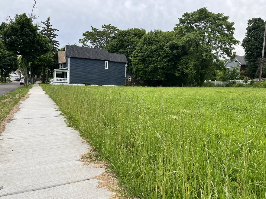 A still un-developed plot on Alexander Place in Buffalo.