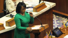 Democratic lawmakers that serve on the state House's utilities committee opposed changing the makeup of the task force.
