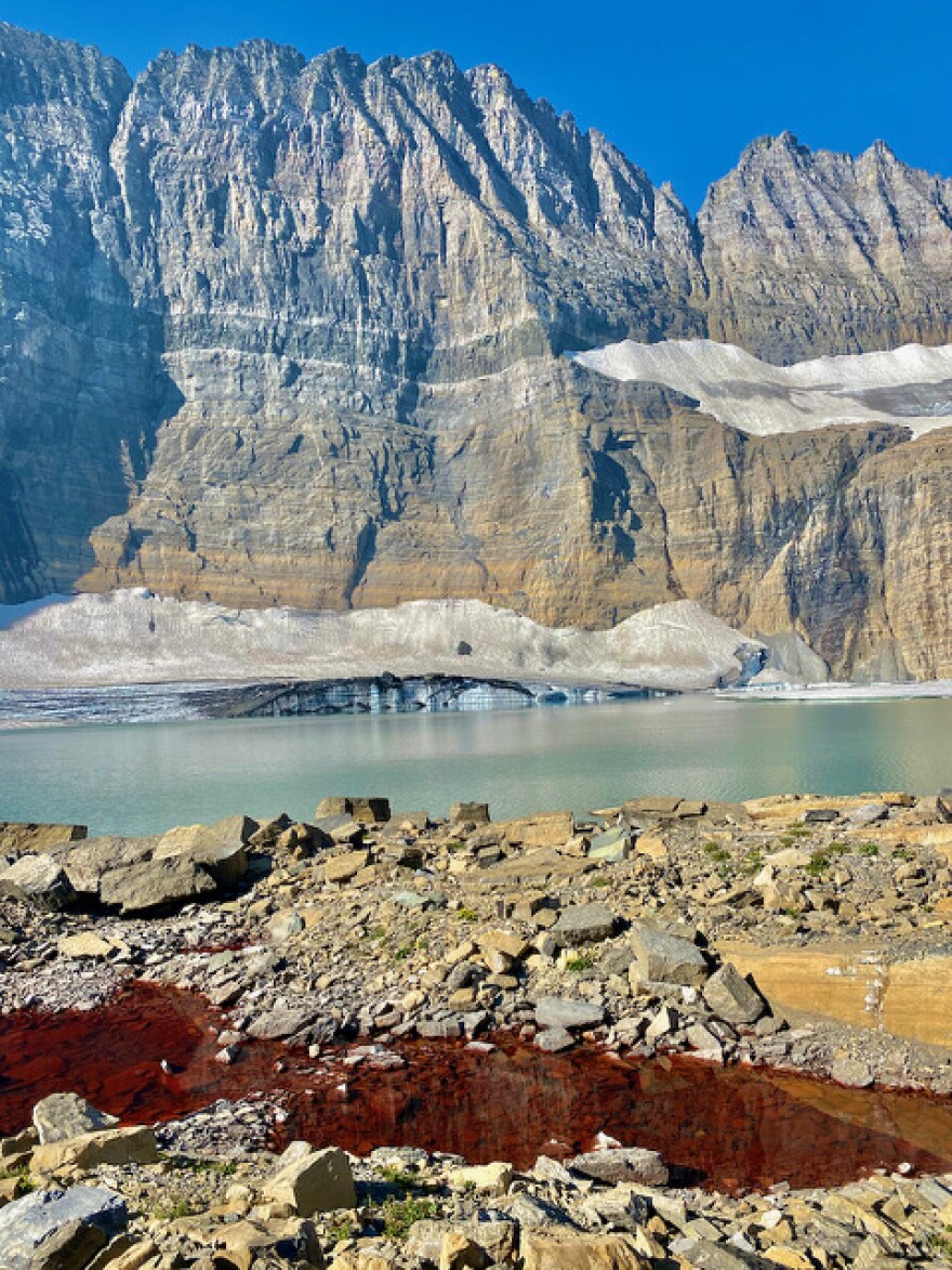 Melted snow that had snow algae also known as "glacier blood" in Glacier National Park.