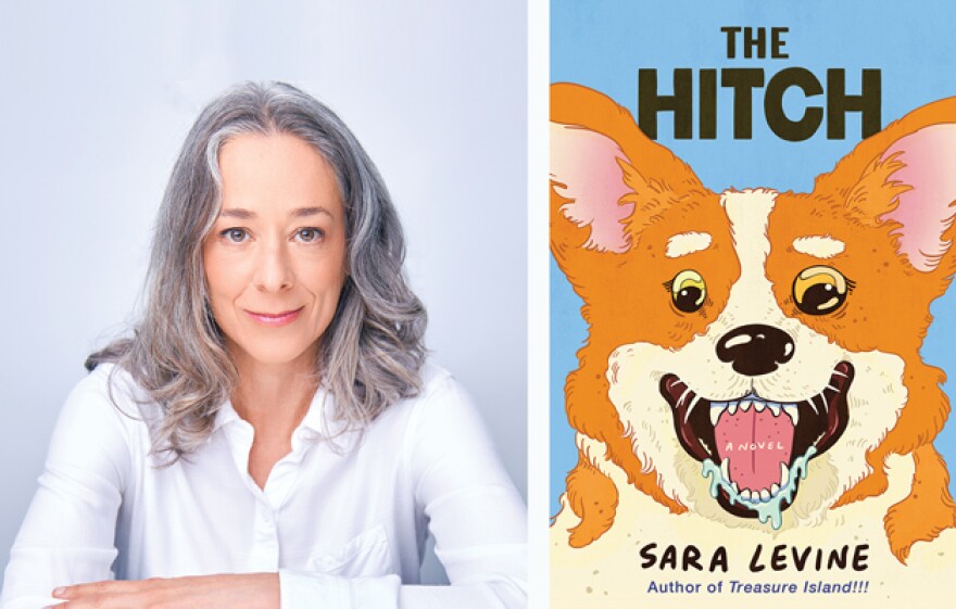 Author Sara Levine's bizarre new novel, "The Hitch," tells the story of a woman whose 6-year-old nephew is possessed by the ghost of a Corgi.