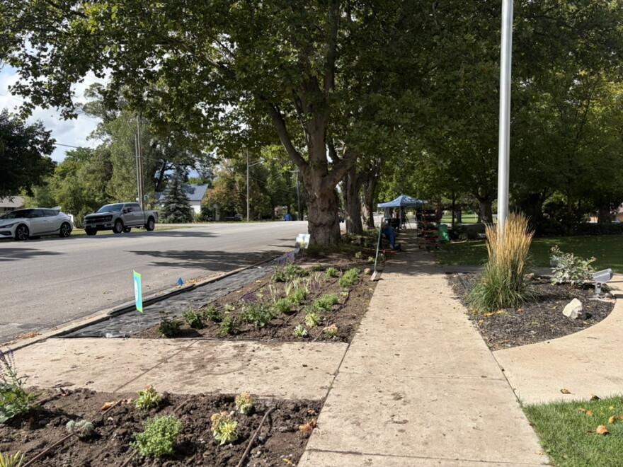 Plants in a row between a tree-lined street and sidewalk sit planted in soil. A blue roofed tent is farther down the sidewalk under trees. A light pole stands tall in soil on the right side of the sidewalk and a grey truck and white sedan are parked on the opposite side of the street.