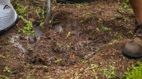 A gardener amends soil in Oklahoma