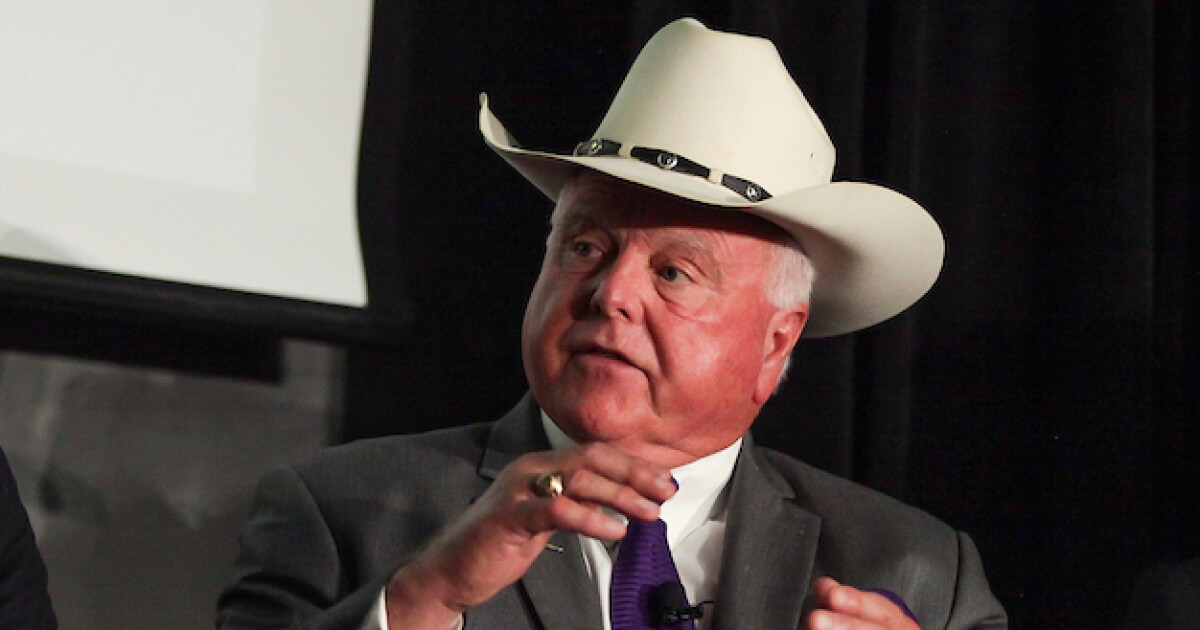 Texas Ag Commissioner Predicts Some Rural Republican Backlash Against GOP