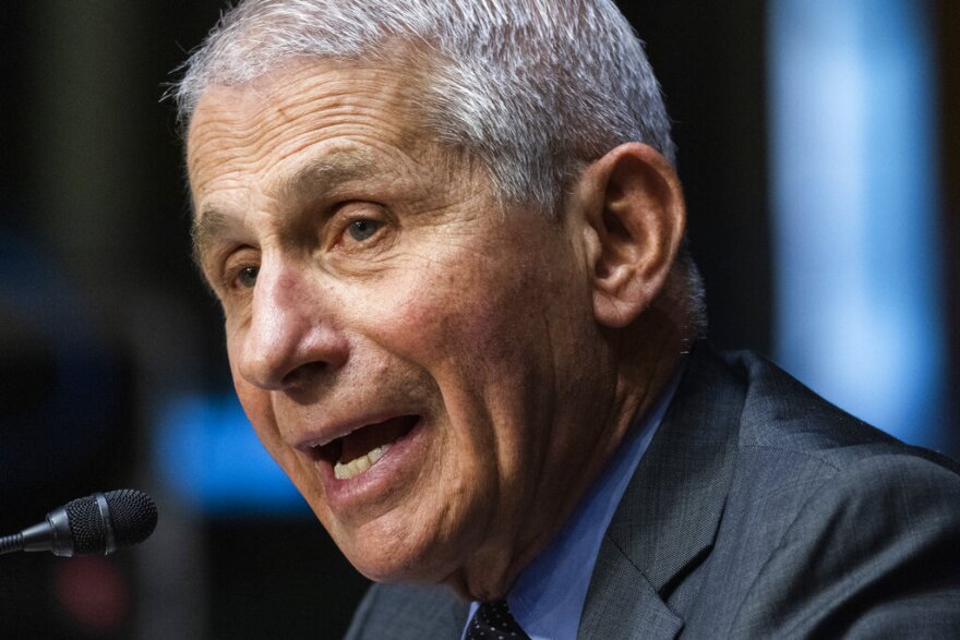 Anthony Fauci speaks