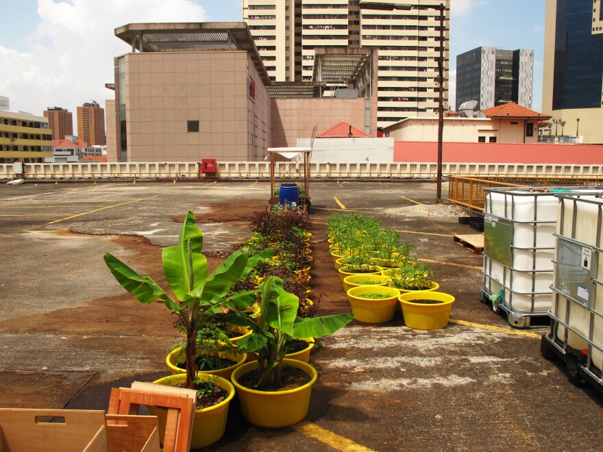 The top floor of the People's Park Complex garage is home to the Edible Gardens showcase — where the company grows herbs, sells supplies, holds classes and presents lectures on urban and sustainable farming techniques.