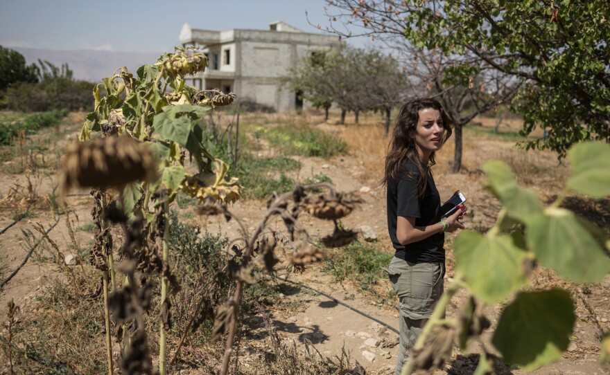 Sherine Bou Raffoul, director of the anti-poaching unit of the Lebanon-based Middle East Sustainable Hunting Center, stands in a field used by poachers to trap songbirds in a large complex of nets.