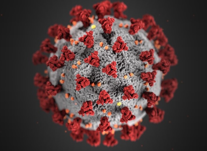 Covid cases continue to fall, and restrictions are being eased