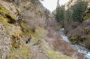 a couple of hikers and their dog walk a mountain trail with a hillside to the left and the Rapid River down to the right. 