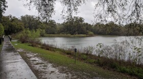 Pedrick Pond Park