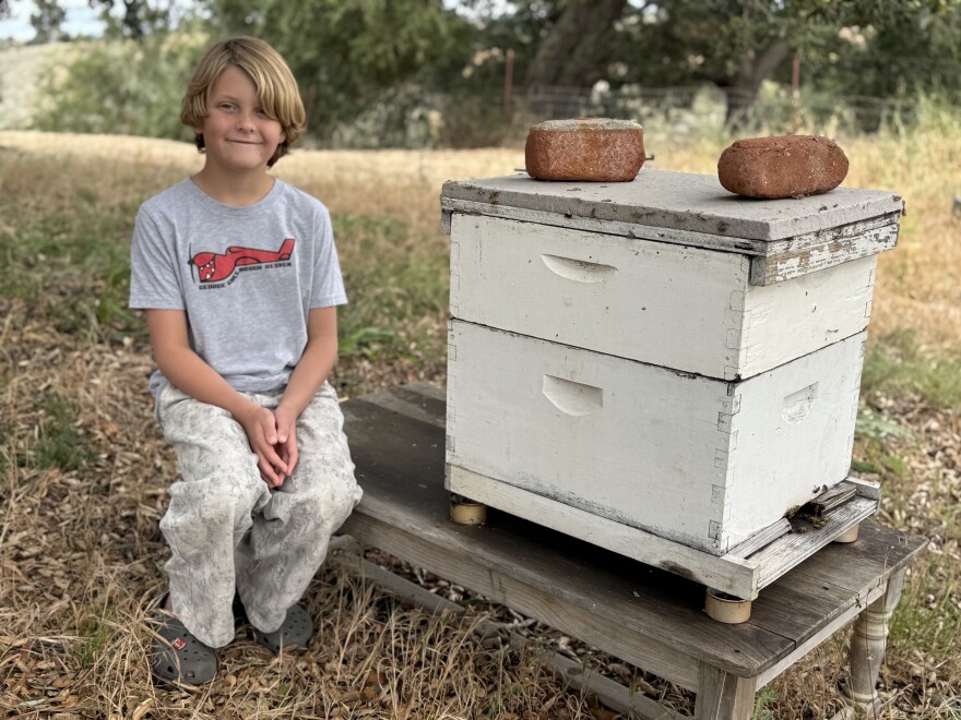 9-year-old West Lang is a winner of an Environmental Stewardship award for his actions in rescuing a swarm of bees at his school