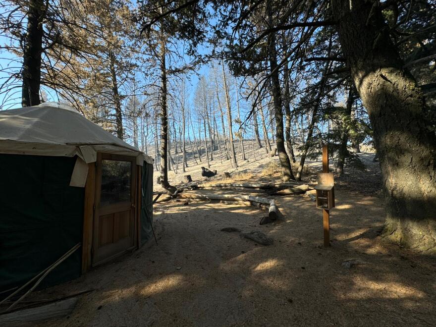 A yurt is shown on the left hand side. There are many burnt trees standing behind it. 