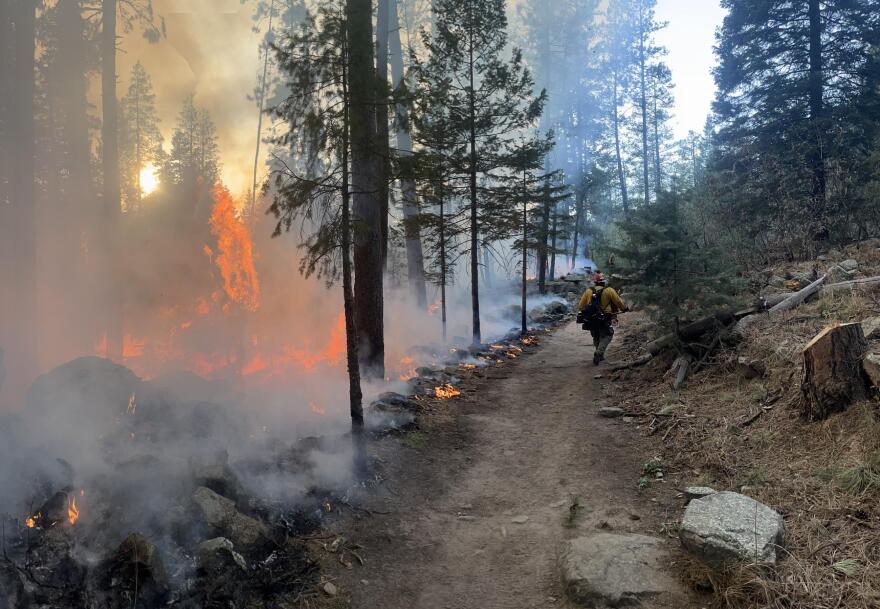 Firefighters work on control lines during burning operations on the Horton Fire on Jan. 7, 2025.