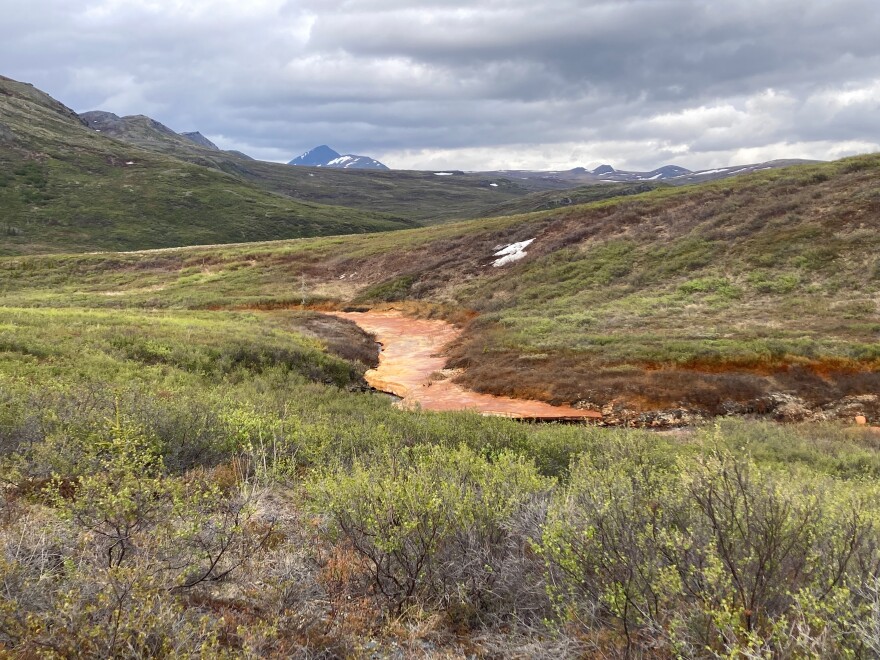 Rusting on a tributary of the Eli River, taken on Patrick Sullivan's research trip in June. Sullivan said it shows iron throughout the aufeis and in the shrubs, which suggests that metals were being released throughout the winter. 