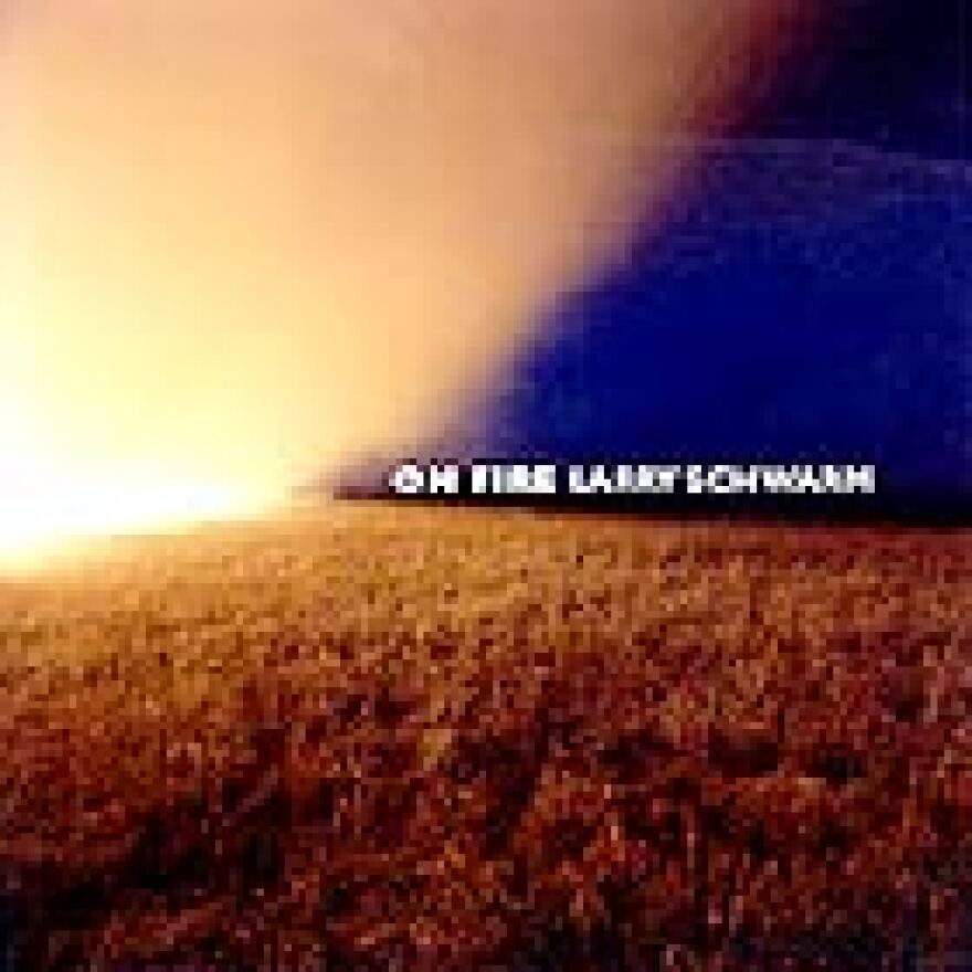 <i>On Fire</i> by Larry Schwarm (Duke University Press, 2003)